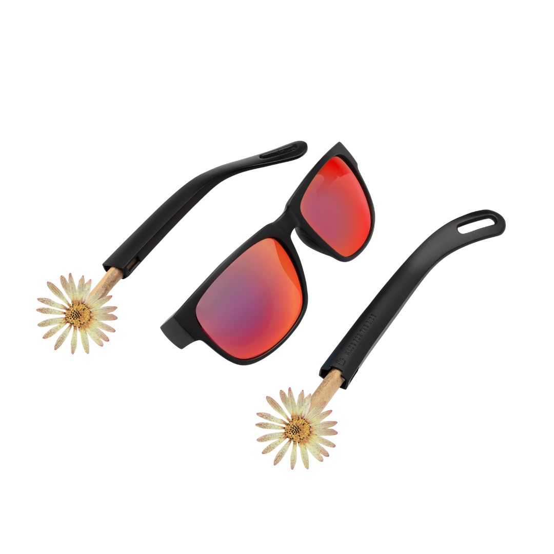 Pitch Black | Hidden Stash Glasses | ViceRays Sunglasses
